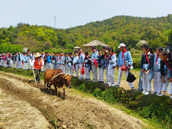 贛州市白雲小學開展勞動教育礪心智春季研學活動